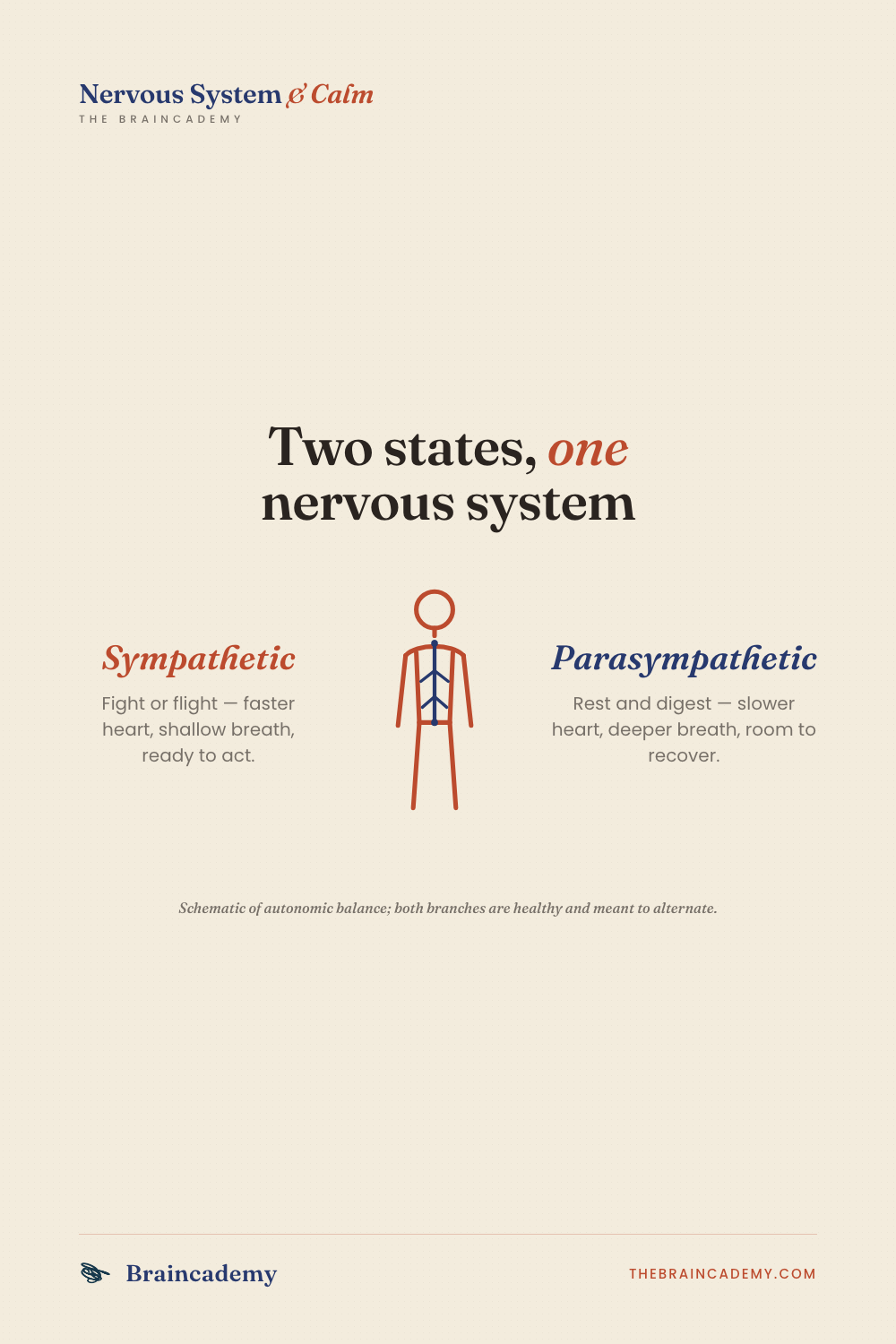 Two states, one nervous system
