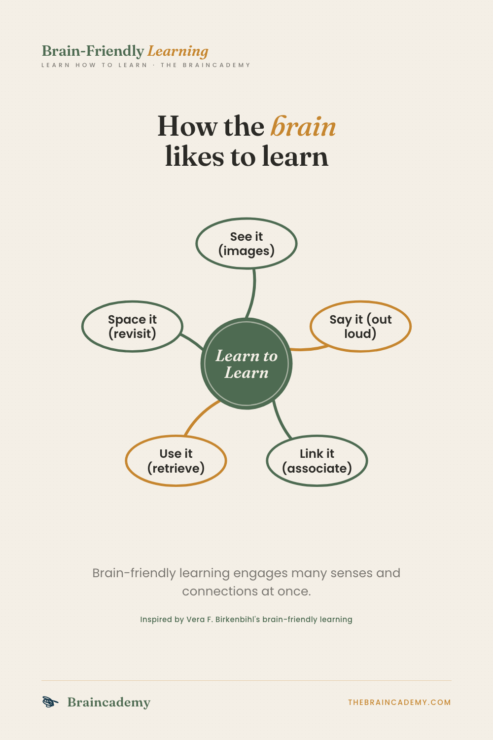 How the brain likes to learn
